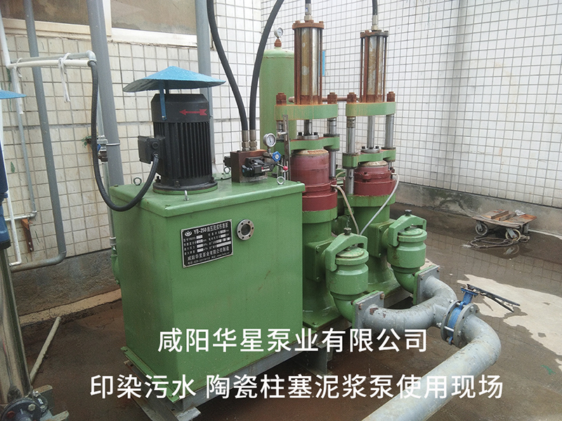 印染廠壓濾機(jī)專(zhuān)用節(jié)能入料泵